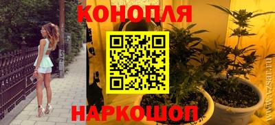Альфа ПВП Сланцы